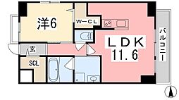 さくら三左衛門堀 403