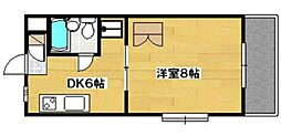 ライブ小島II 206