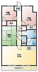 アヴニール愛野 101