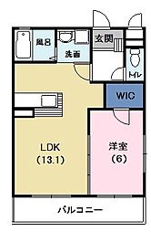 ベタニア 305