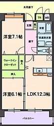 ロリオ 503