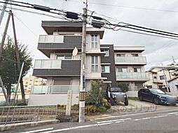 ｓｏｌｅｉｌ　ｌｅｖａｎｔ