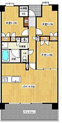 グランドオーク室見河畔 503