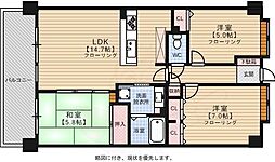 クリオジーテ藤崎