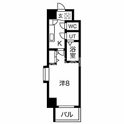 スプランディッドキャトル 801