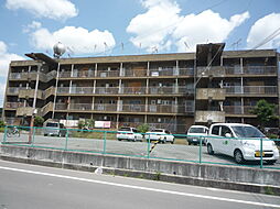 サンフラワーハイツ