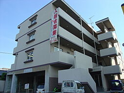 パパノエル