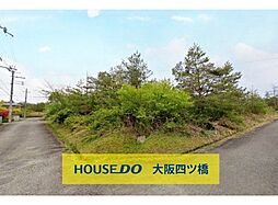 船井郡京丹波町 実勢大平　土地