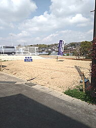 豊明市栄町大根