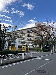 豊栄アンバサダー調布