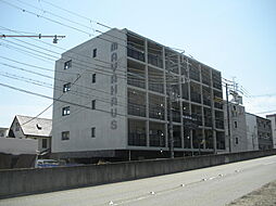 ＭＡＹＡＨＡＵＳ Ｎ25