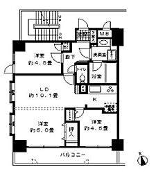 ライフェリア池袋 201