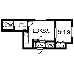 ASTER　NANGOVII(アステールナンゴウナナ)