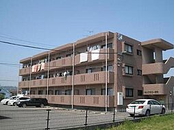 サンフラワー東町 102