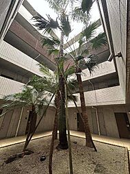 アルテマイスター谷川 508
