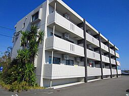 ティンカーベル 203