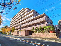 日神パレステージ弘明寺 302