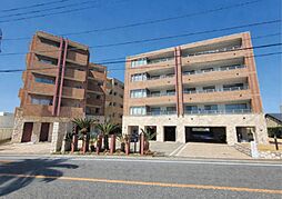 メビウスブレイン油壷マリナテラス