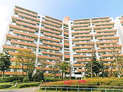 若葉台団地1-11棟