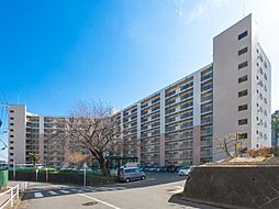 市ドリームハイツ1号棟