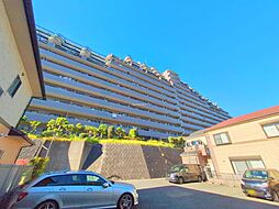 ダイアパレスウィザス追浜