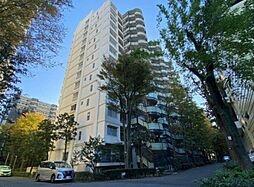 パークシティ溝の口C棟