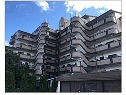 テラートI 207