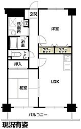 テラートI 206