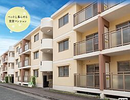 東香里野村マンション 102