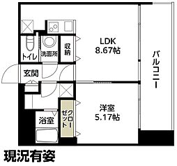 FLAT HOSHIDA 507