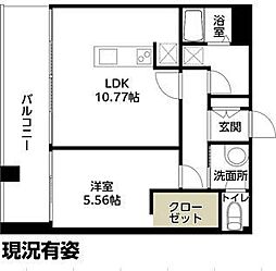 FLAT HOSHIDA 603
