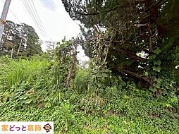 茂原市粟生野　土地