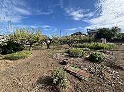 野田市目吹土地