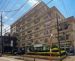 東久蓮根ハイツ 217号室