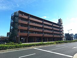 須賀の森シティハイツ 501