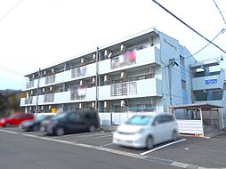 ブルーメンホーフIII 205