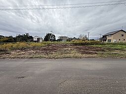 勇払郡安平町追分白樺1丁目393番土地
