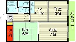 ホワイトハイツ