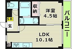 コーエイハイツ