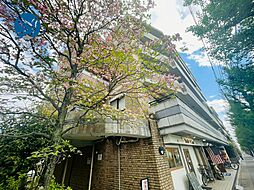 角部屋３LDK  ヴィベール北白川