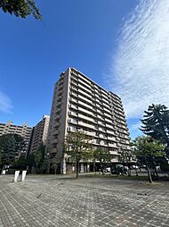 ロイヤルコートさっぽろシティサードコート 308