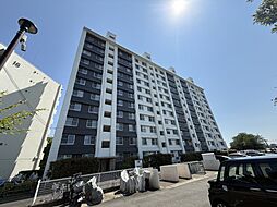 10階部分につき日当たり・眺望・風通し良好県ドリームハイツ