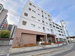 ディークラディア金剛 307