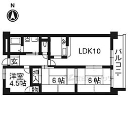 ロータス　ユミ 206