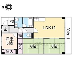 パープルソシア 206