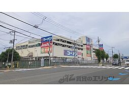 スタジオＭ 501