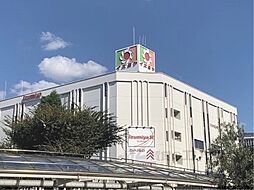 ヴィルヌーブエスト 607