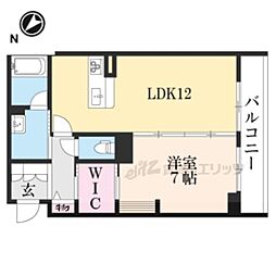 ラ・ルミエール 203