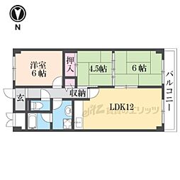 メゾン田井新町 202