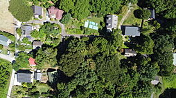 白樺のある整形地。閑静な白井沢で、ゆとりある別荘ライフを。